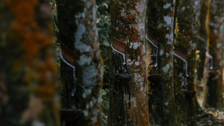 The Science of Sensitivity: How Natural Latex Achieves Maximum Tactile ...